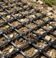 Clous de jardin ondulés en U anti-dérapants, clous de pelouse galvanisés pour l'installation de gazon extérieur