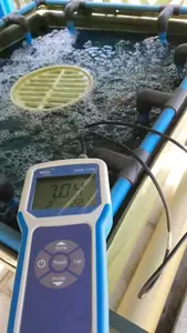 PHS-1701 गर्म बेच मीठे पानी एक्वाकल्चर स्वचालित डेटा भंडारण हाथ में पोर्टेबल डिजिटल ORP पीएच मीटर कीमत