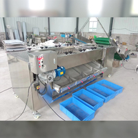 Sinaasappels Citroen Granaatappel Mango Sorteermachine Sorteermachine Aardappelroller Sorteermachine