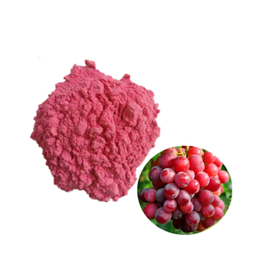 E163 분말 안토시아닌 100% 천연 붉은 포도 껍질 추출물 - Product Image 4