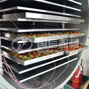 Equipo <span class=keywords><strong>de</strong></span> Liofilización al Vacío <span class=keywords><strong>de</strong></span> Suministro Directo a <span class=keywords><strong>Precio</strong></span> <span class=keywords><strong>de</strong></span> Fábrica para el Secado <span class=keywords><strong>de</strong></span> Carne <span class=keywords><strong>de</strong></span> Cabra, Chuletas <span class=keywords><strong>de</strong></span> <span class=keywords><strong>Cordero</strong></span> y Rebanadas <span class=keywords><strong>de</strong></span> Hombro <span class=keywords><strong>de</strong></span> <span class=keywords><strong>Cordero</strong></span> - Product Image 4