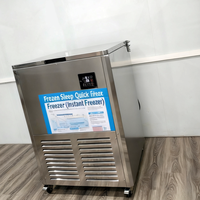 Congélateur à plaques industriel pour aliments congelés Congélateur commercial rapide pour la congélation de la viande