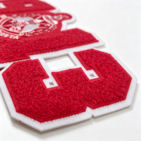 Écussons brodés en chenille personnalisés, style universitaire, effet pelucheux, thermocollants, type serviette, badges logo pour vêtements, chapeaux, sacs, uniformes