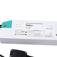 Luz de techo LED DE EMERGENCIA LiFePO4 con lente de desarrollo propio CE CB SAA AS2293