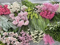 S511 Grosir Bunga Mawar Hydrangea Buatan Berkualitas Tinggi, Rangkaian Warna Pink Putih dan Hijau, Mawar Hydrangea Buatan F