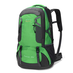 Mochila de viaje personalizada de alta calidad, duradera, elegante, con forro de poliéster para montañismo, hecha en fábrica, mochila - Product Image 1