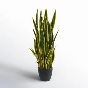 Planta Artificial <span class=keywords><strong>de</strong></span> Serpiente, Bonsái <span class=keywords><strong>de</strong></span> Plástico, Simulación <span class=keywords><strong>de</strong></span> Planta Verde, Bonsái <span class=keywords><strong>de</strong></span> Planta Serpiente, <span class=keywords><strong>Sansevieria</strong></span>, <span class=keywords><strong>Hoja</strong></span> <span class=keywords><strong>de</strong></span> Plástico Verde para Decoración del Hogar - Product Image 2