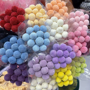 Fleurs naturelles très demandées : Craspedia Billy Button (Boule dorée) stabilisée pour arrangements floraux de mariage - Product Image 6