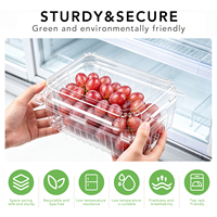 Boîte d'emballage alimentaire en PET transparent recyclable sur mesure pour fruits frais, conteneur perforé en plastique pour tomates et cerises, vente en gros