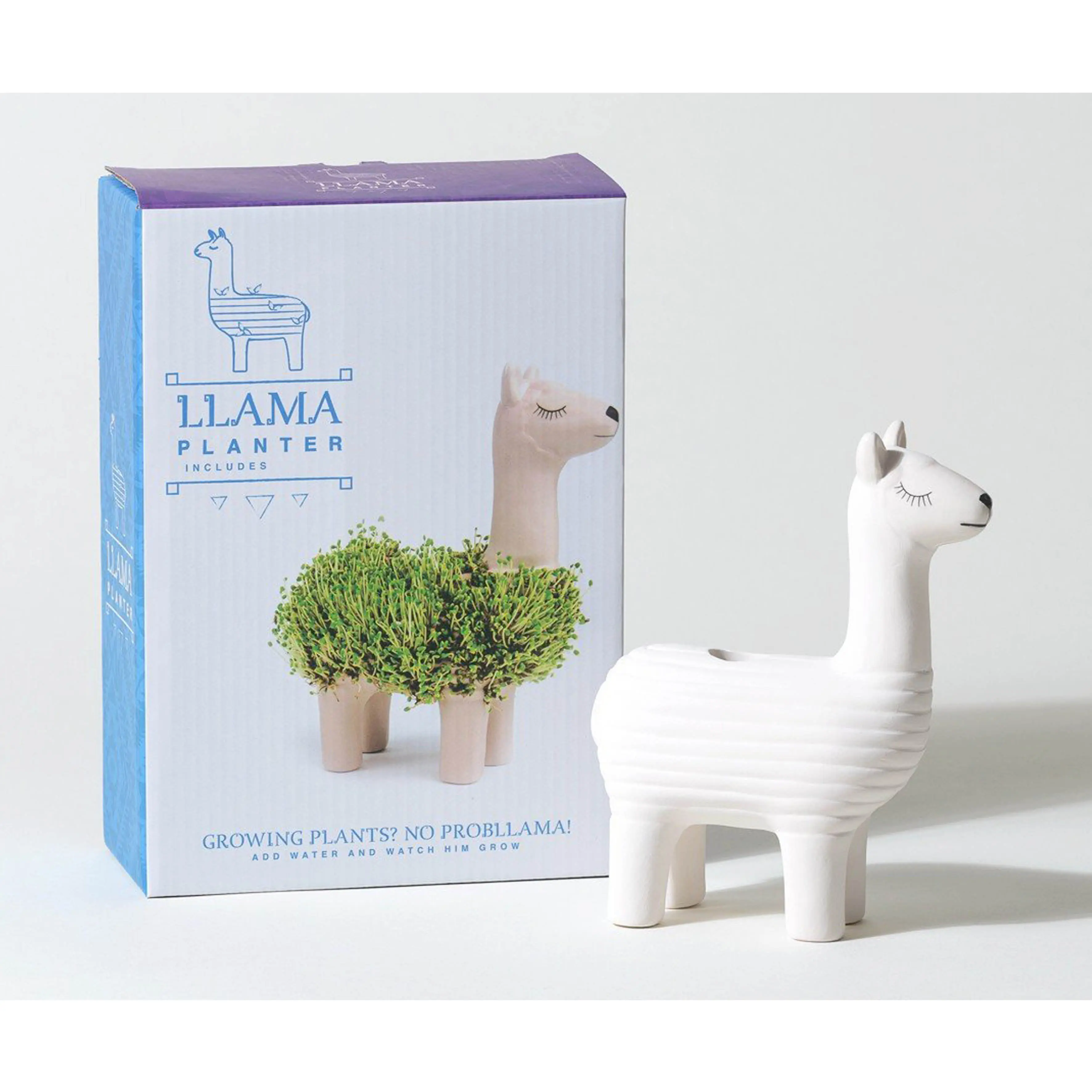 souvenirs gift Llama custom chia pet Planter Chia Plantables indoor plant grow kit high quality