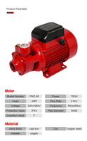 Pompe à eau vortex auto-amorçante QB80 de 8 m avec aspiration, installation facile, turbine en fonte et laiton, pompe d'irrigation de jardin