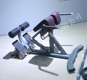 Xinrui Équipement de fitness de haute qualité Chaise romaine Extension inverse Hyper bancs <span class=keywords><strong>d</strong></span>'exercice du bas du <span class=keywords><strong>dos</strong></span> Extension du <span class=keywords><strong>dos</strong></span> à 45 degrés - Product Image 2