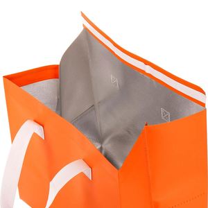 Insulated Eco-Friendly <b>Cooler</b> Bag Non Woven PP <b>Material</b> Coffee Pizza Takeaway Tote Handle Thermal Waterproof Reusable Large - Product Image 3