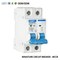 Disjoncteur miniature (MCB) DC 2P 230V 6kA, capacité de coupure 50/60Hz pour système solaire photovoltaïque 3A-63A DC500V DC1000V