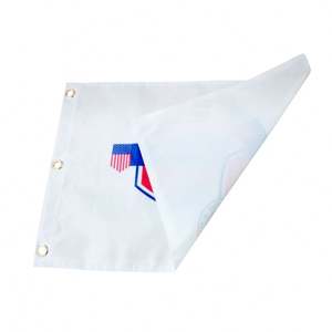 Недорогие мини-Клюшки для гольфа с отверстиями, пластиковые флажки, нейлоновый баннер для гольфа с печатным логотипом - Product Image 4