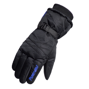 Produttore Logo personalizzato inverno caldo impermeabile in pelle guanti da sci guanti lunghi guanti per Touch Screen guanti in acrilico - Product Image 4