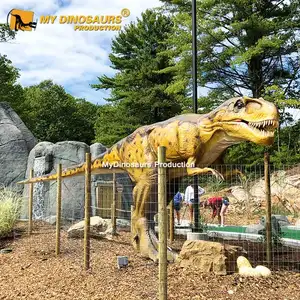 Z MY DINO AD-034 ملاهي اصطناعية كبيرة الحجم ديناصور Allosaurus حقيقي للعرض