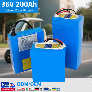 E-Bike E-Scooter Lithium LiFePO4 Akku 12V/24V/36V/48V/60V 20AH/30AH/50AH/60AH 5000 Zyklen für Direktvertrieb ab Werk - Product Image 2