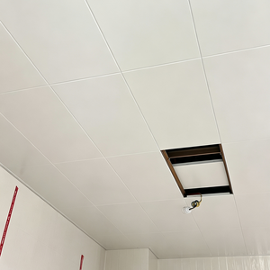 Techo <span class=keywords><strong>Acústico</strong></span> Cuadrado de Aluminio Perforado de 600x600, Ignífugo, Aislante Térmico, para Uso Comercial, Doméstico, Hospitalario, Metal Artístico - Product Image 3