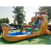 Toboggan aquatique gonflable tropical Dauphin et Palmier avec piscine, pour enfants et adultes, usage commercial et jardin