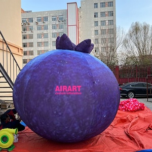 Ballons Publicitaires Gonflables en Tissu Oxford 420D, Ballon Myrtille Gonflable de Haute Qualité 3M - Product Image 5