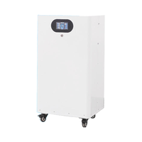 Système de stockage d'énergie solaire résidentiel avec protection contre les surtensions, batterie LiFePO4 avec BMS intelligent, directement de l'usine OEM ODM