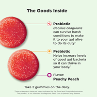 Gummies Probiotiques et Prébiotiques pour Femmes Marque Blanche OEM – Favorisent le Métabolisme