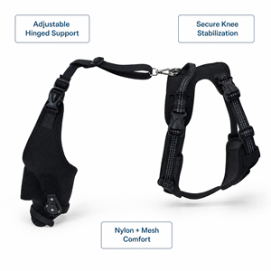 Attelle de genou réglable en néoprène pour chien avec stabilisateur à charnière et boucle rapide pour la laminité de la patte arrière et la récupération post-opératoire - Product Image 1