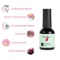 Missgel OEM kit magnétique 18 couleurs couleurs 9d UV gel cristal gel oeil de chat 3d vernis oeil de chat