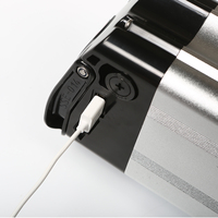 Batterie de vélo électrique HANERIDE 36V Silver Fish avec USB pour Prophet Aldi MiFa Zhenlong/ZL1010-F Phylion