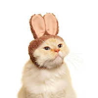 Vente en gros d'accessoires pour animaux de compagnie individuation oreilles mignonnes décoration décontractée de chapeau de chien de chat