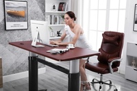 Bureau debout électrique moderne CARENOVO ET-02 en aluminium, poste de travail réglable en hauteur, capacité de charge de 60 kg, garantie 5 ans, pour bureaux