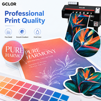 Impresora Eco Solvente Compacta GCLOR Easyjet 701 702 de 650 mm con 1 o 2 Cabezales Epson F1080 I3200 para Impresión de Vinilos Adhesivos
