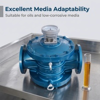 Débitmètre rotatif à bride en acier inoxydable série LL, léger, antidéflagrant CE, haute précision, pour applications pétrochimiques, eau/liquide, OEM