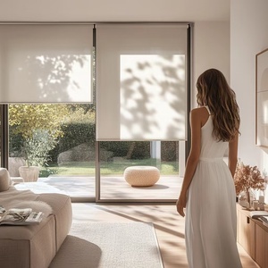 Con persiana ghi danh persianas ventanas ghi danh manuales cremallera cortinas rollos Para persianas ghi danh - Product Image 3