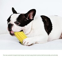 Jouets pour chiens les plus vendus : bâtonnets à mâcher, os dentaires durables, brosses à dents, sangles et cordes en maïs