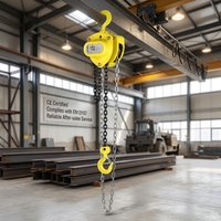 Palans à chaîne manuels certifiés CE, 2 tonnes, en acier, personnalisables, OEM, outil de levage, prix d'usine, palan à chaîne manuel
