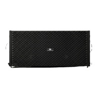 Haut-parleur Line Array 2 voies de 10 pouces avec amplificateur DSP intégré pour événements en direct