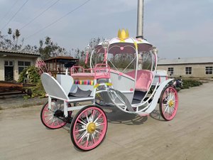 عربة سندريلا فنية حديدية ، عربة إبداعية ، ديكور عربة خارجية ، عربة بمناظر طبيعية ، سيارة لمشاهدة معالم المدينة - Product Image 3