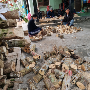 No. 1 TRIPLE SUPER KING ANT OUD 100% PURE OUD VIETNAM MEJOR VENTA-FUERTE FRAGANCIA DULCE - Product Image 6