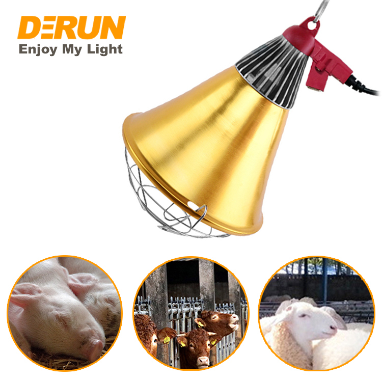 Lampe Chauffante Infrarouge 250W Pour Poussins, Canetons, Chiots | Câble 2,5m + Chaîne 2m, Double Température