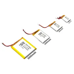 이온 리튬 이온 12 V 팩 배터리 3.9V 충전기 11.1V 2200Mah 18650 10Ah 10Kwh 망간 철 인산염 전지 12 V 51V 리튬 배터리