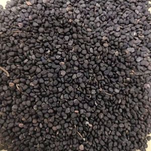 Empaquetado en una bolsa de semillas de estramonio secas con patrón de alimentos y bebidas de sabor seco - Product Image 1