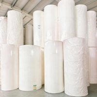 Offre Spéciale : Rouleau Géant de Papier Essuie-Tout de Cuisine, Forte Absorption, Matière Première Non Imprimée, Fourniture en Gros pour la Transformation
