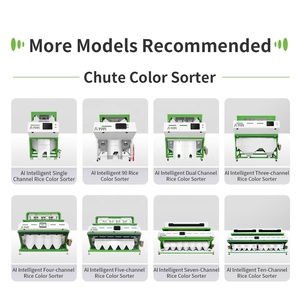 Máquina Clasificadora de Color de Alta Precisión para Frijoles, Arroz y Trigo, Capacidad de 12T/H, Precisión de Clasificación del 99.9%, Precio de Fábrica - Product Image 6