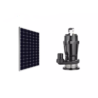 Pompe à eau solaire DC à grand débit, kit de pompe solaire submersible pour l'agriculture
