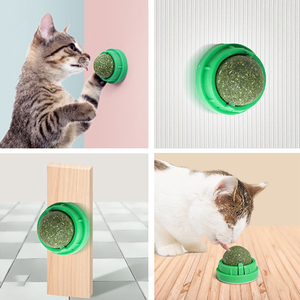 Fábrica Yun: Venta al por mayor de bolas de hierba gatera ecológicas personalizadas, autoadhesivas, antipérdida, para limpieza dental y resistentes a mordeduras. - Product Image 6