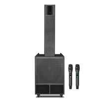 Système de sonorisation professionnel OME pour DJ, extérieur, théâtre, Hifi, super caisson de basses, enceintes Line Array 12 pouces et 18 pouces, 2 microphones