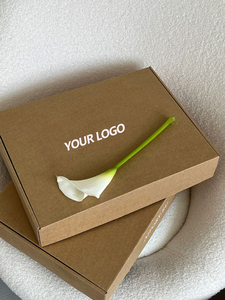 Emballage cosmétique, design naturel, boîte de soin de la peau de luxe, emballage personnalisé avec logo, boîte de produit de beauté, boîtes cadeaux <span class=keywords><strong>en</strong></span> papier kraft - Product Image 1