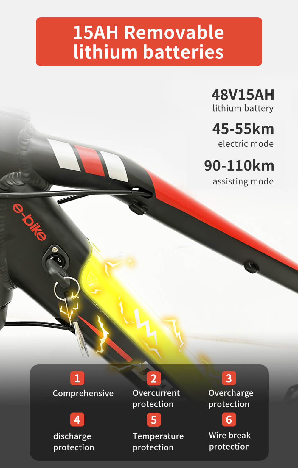 Electric bike 1000W Dailyride LEO Magnesium rims